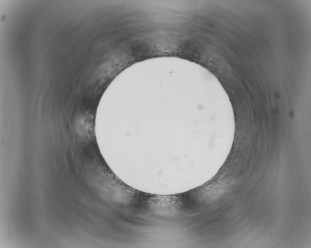 X0000067950672200604171437