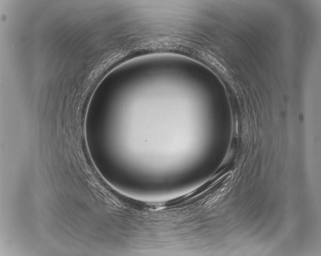 X0000067950673200604171436