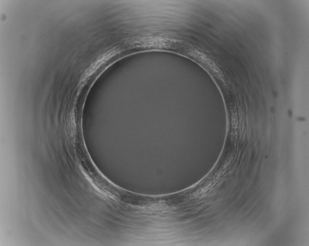 X0000067950674200604171436