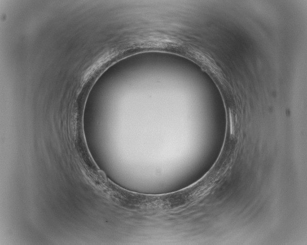 X0000067950675200604171436