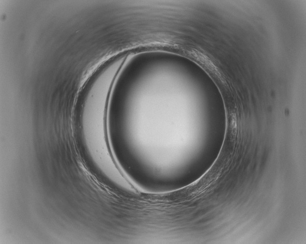 X0000067950676200604171436