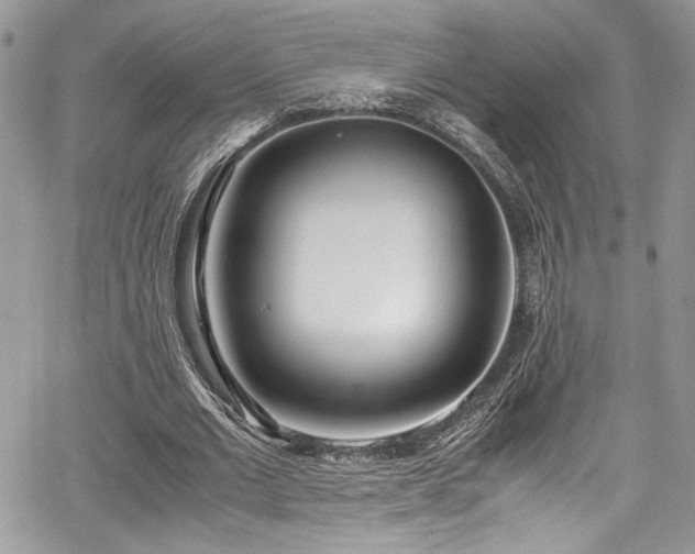 X0000067950677200604171436