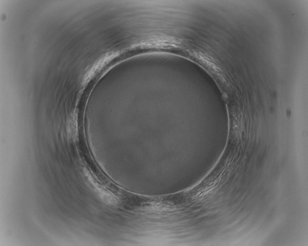 X0000067950678200604171436