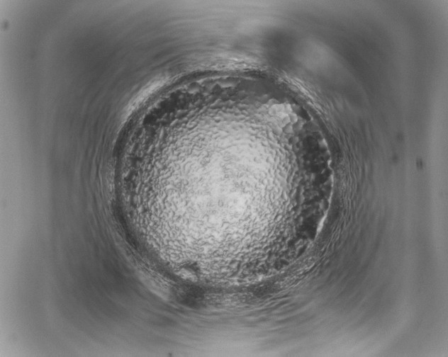 X0000067950679200604171436