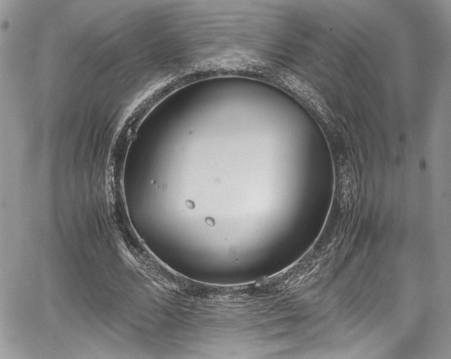 X0000067950680200604171436