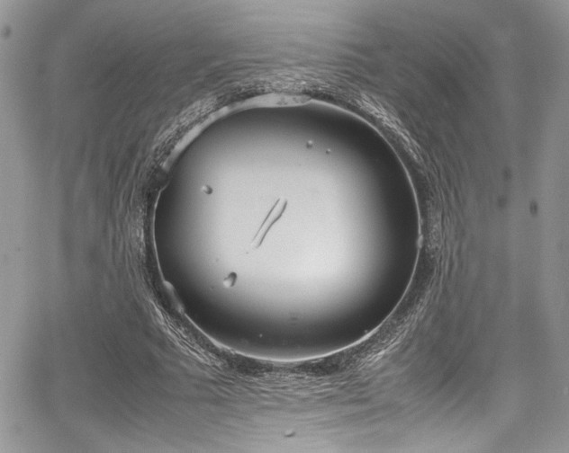 X0000067950681200604171436