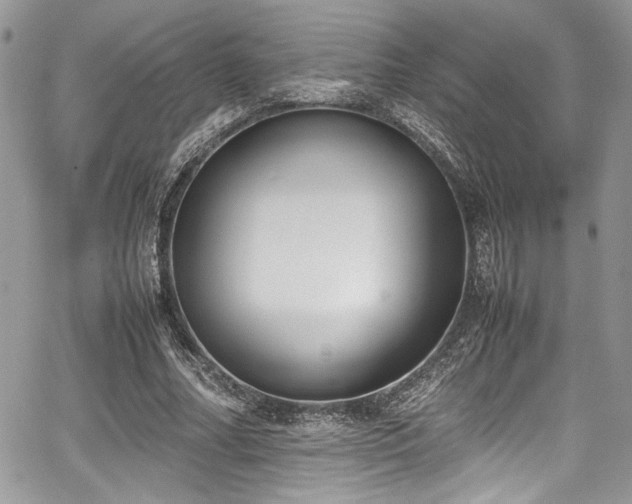 X0000067950682200604171436