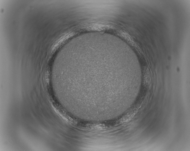 X0000067950683200604171436