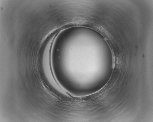 X0000067950684200604171436