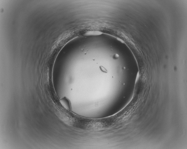 X0000067950685200604171436