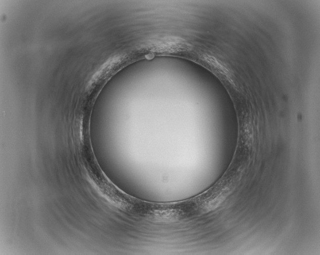 X0000067950686200604171436