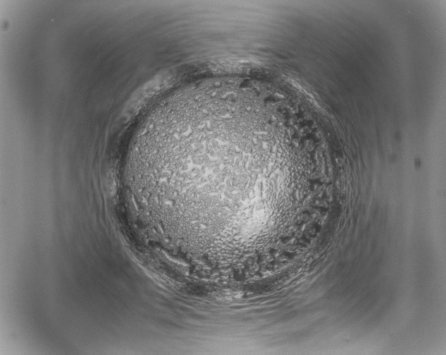 X0000067950687200604171436