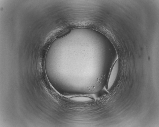 X0000067950688200604171436