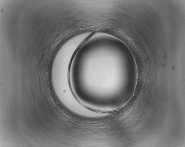 X0000067950689200604171436