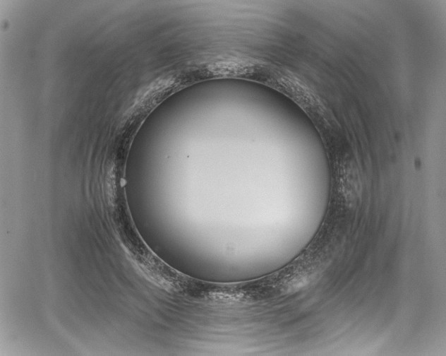 X0000067950690200604171436