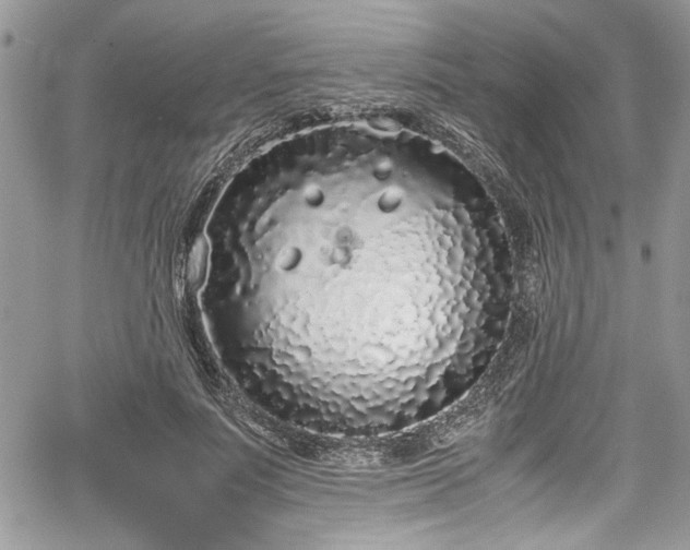 X0000067950691200604171436