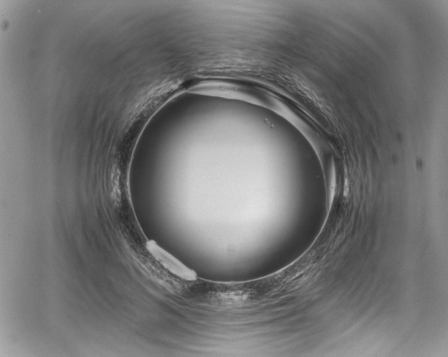 X0000067950692200604171436