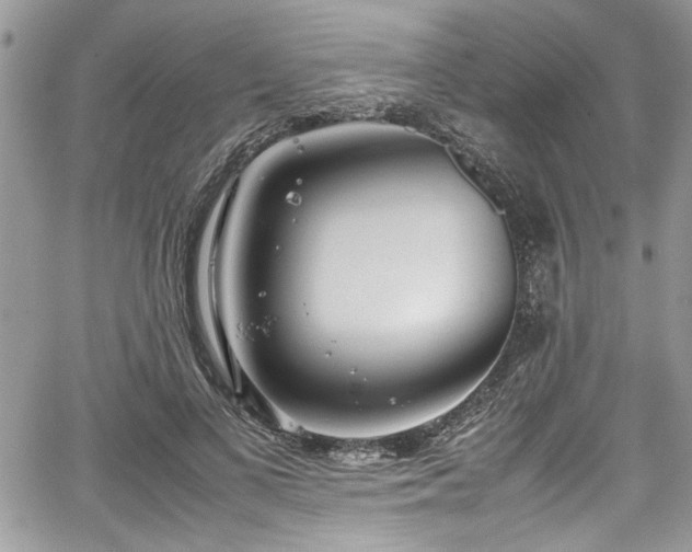 X0000067950693200604171436