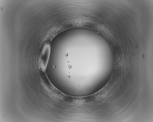 X0000067950694200604171436