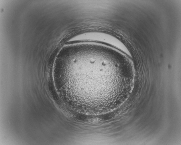 X0000067950695200604171436