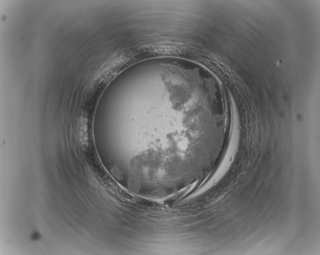 X0000067950696200604171436