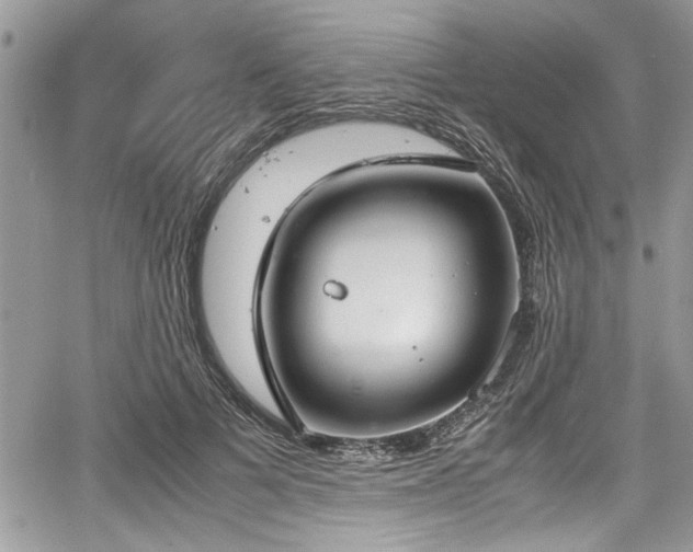 X0000067950697200604171436