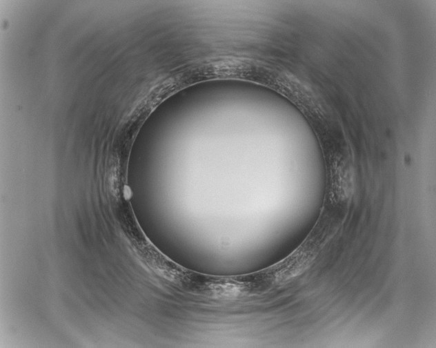 X0000067950698200604171436