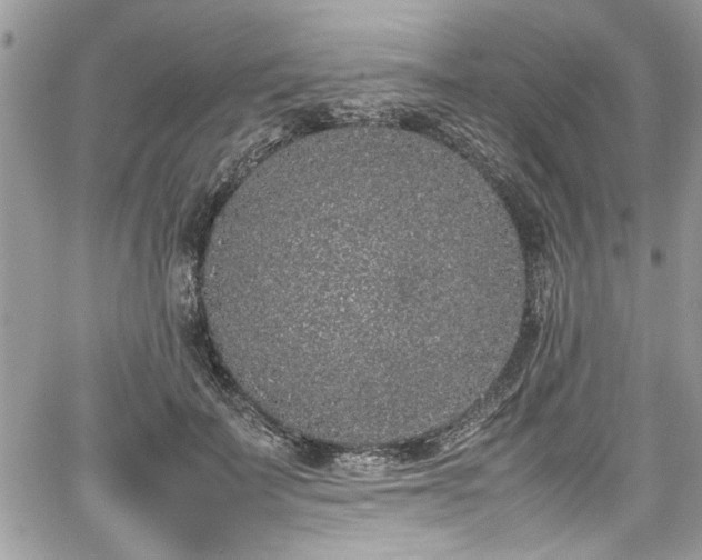 X0000067950699200604171436