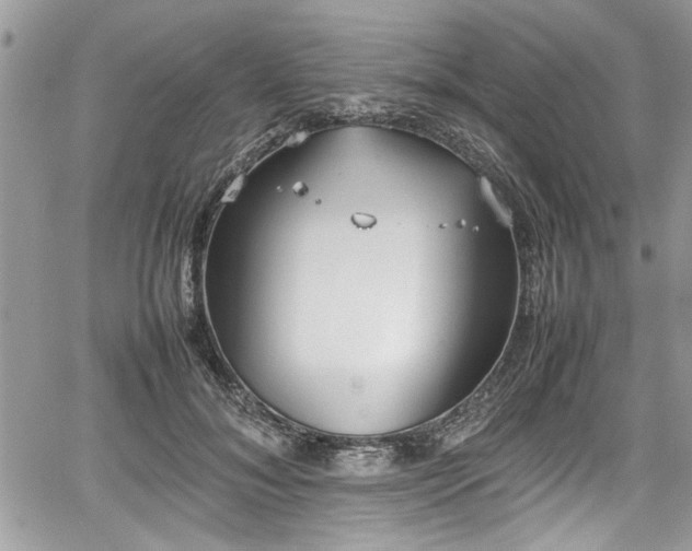 X0000067950700200604171435