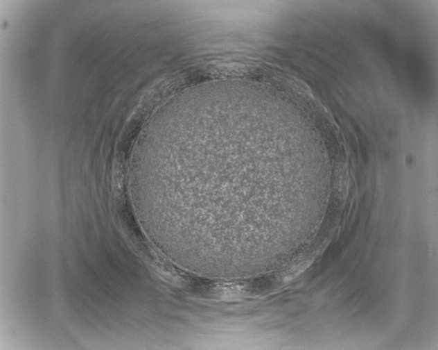 X0000067950701200604171435