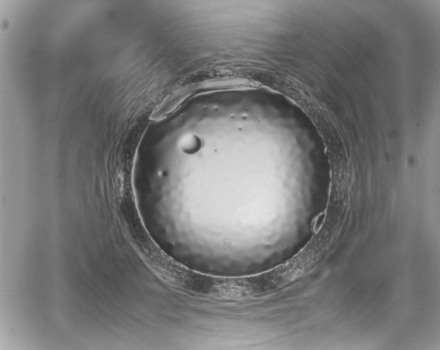 X0000067950703200604171435