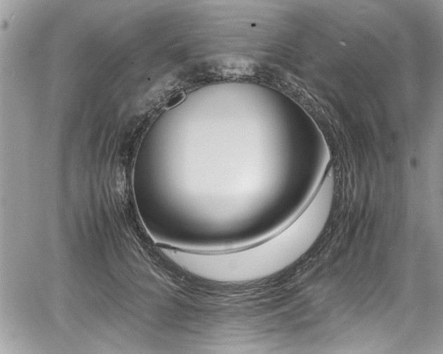 X0000067950704200604171435