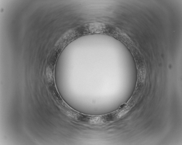 X0000067950705200604171435