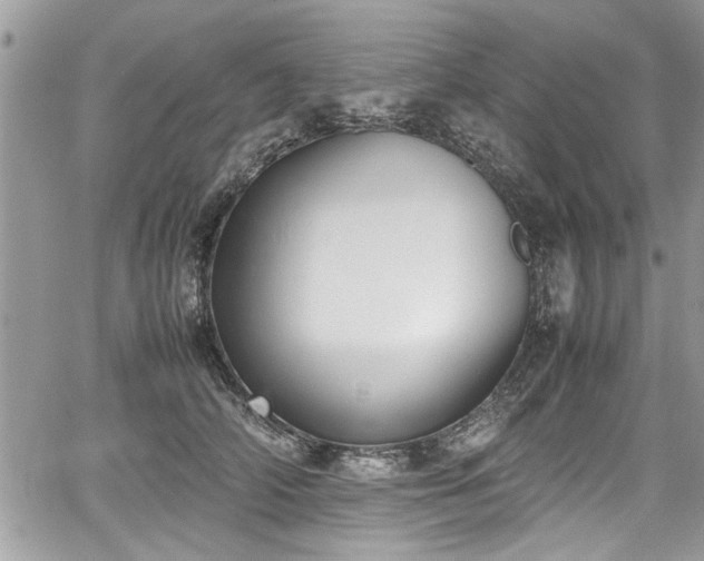 X0000067950706200604171435