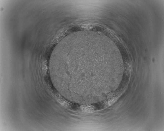 X0000067950707200604171435