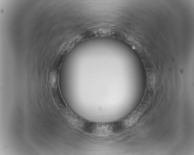 X0000067950709200604171435