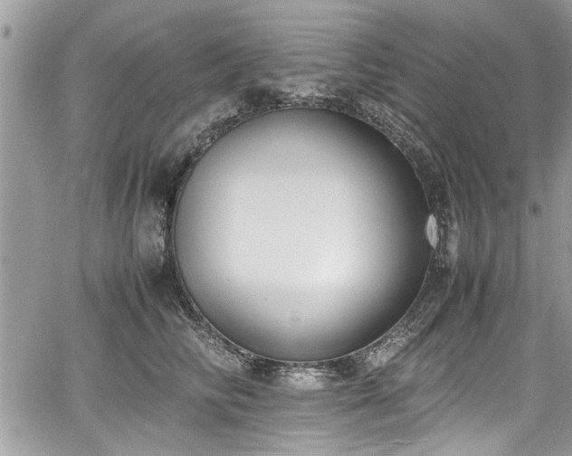 X0000067950710200604171435