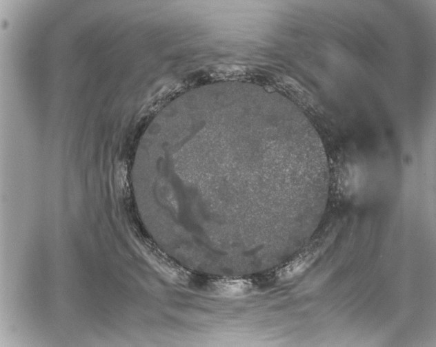 X0000067950711200604171435