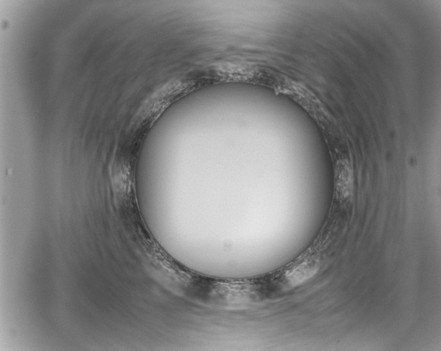 X0000067950713200604171435