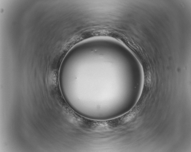 X0000067950715200604171435