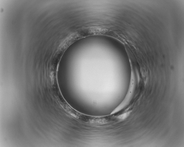 X0000067950716200604171435