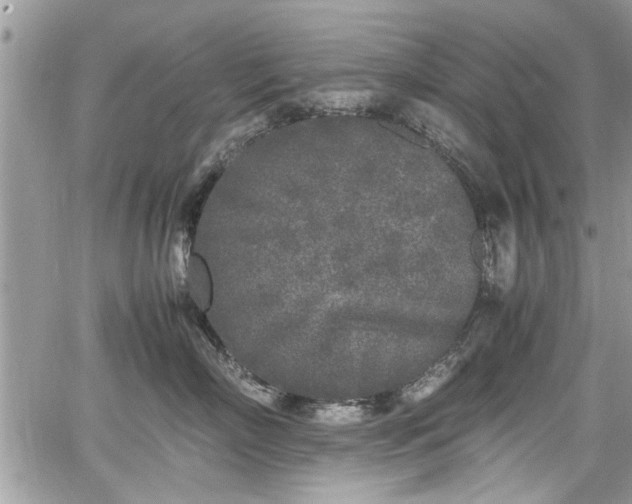 X0000067950718200604171435