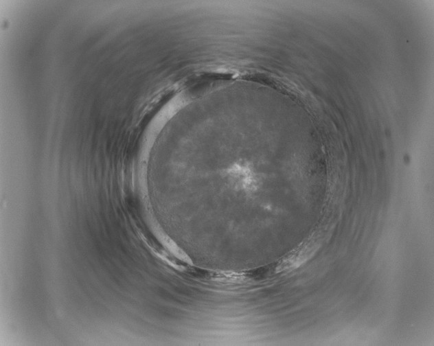 X0000067950720200604171435