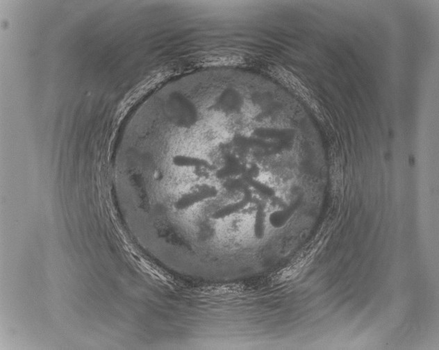 X0000067950721200604171434