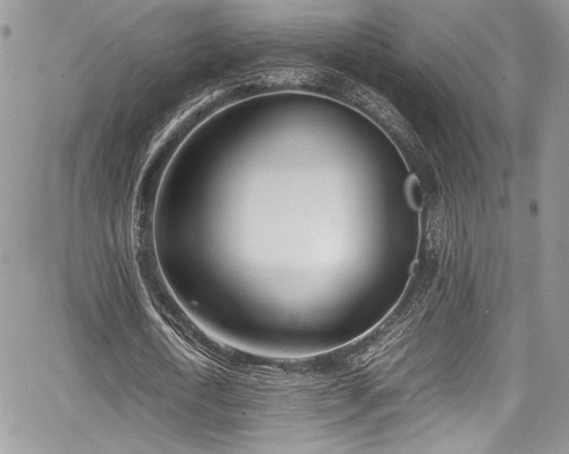 X0000067950722200604171434