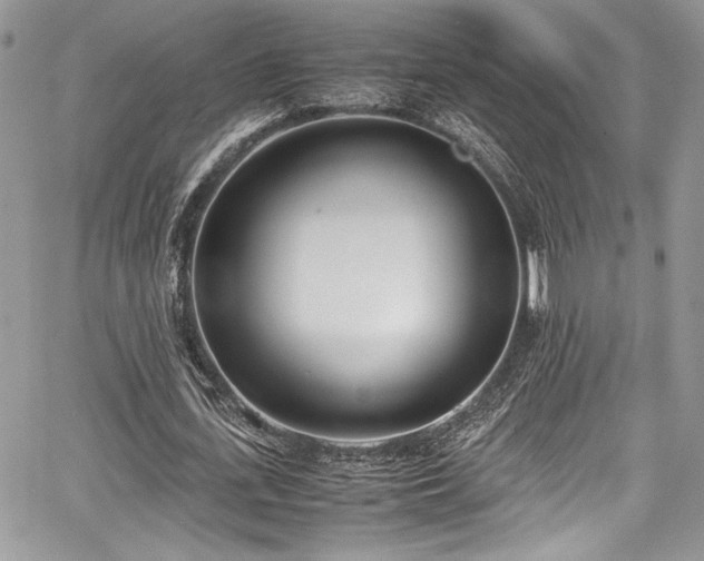 X0000067950723200604171434