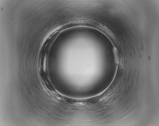 X0000067950724200604171434