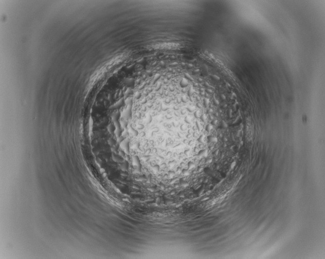 X0000067950725200604171434