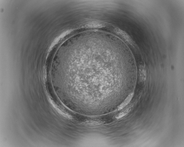 X0000067950726200604171434