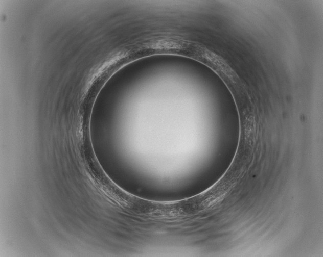 X0000067950727200604171434